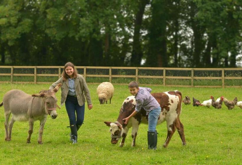 호텔 Château Saint Gilles   Bayeux