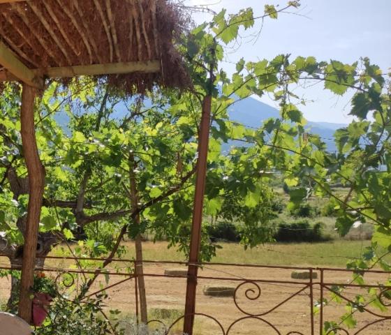 פנסיון Bujtina Polimen