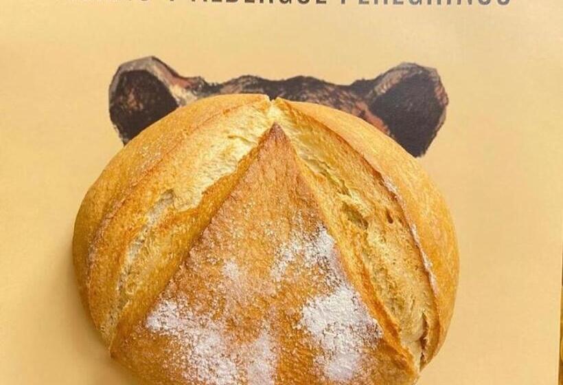 فندق صغير Señor Oso