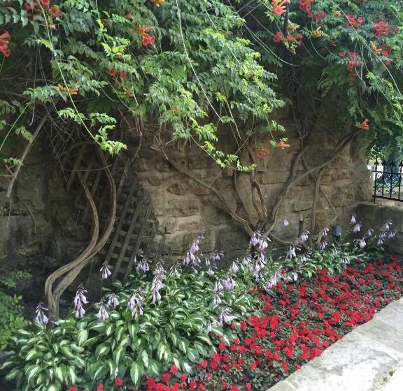 ベッドアンドブレックファースト Riverboat Suites