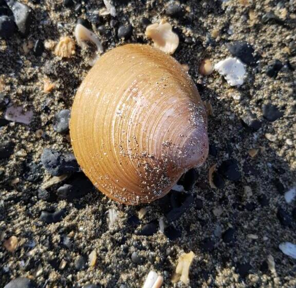 هتل Brjánslækur Gamli Bærinn