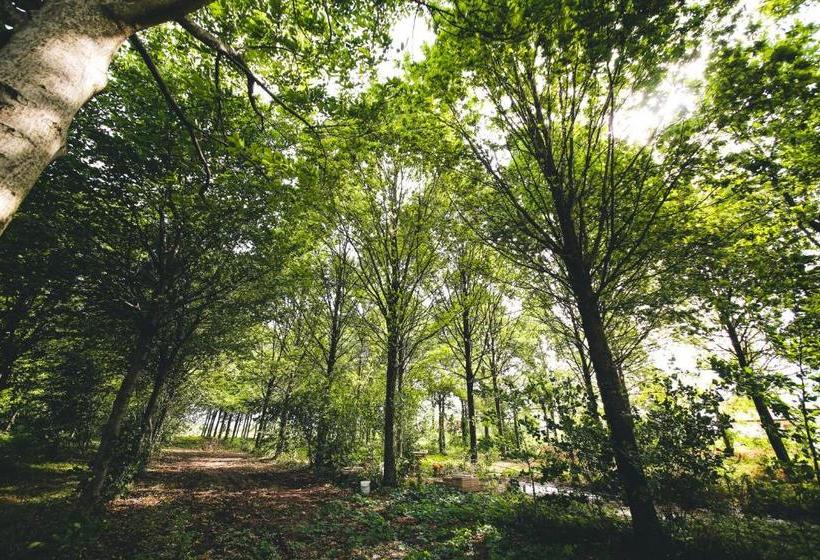 بنسيون Fuoricittà