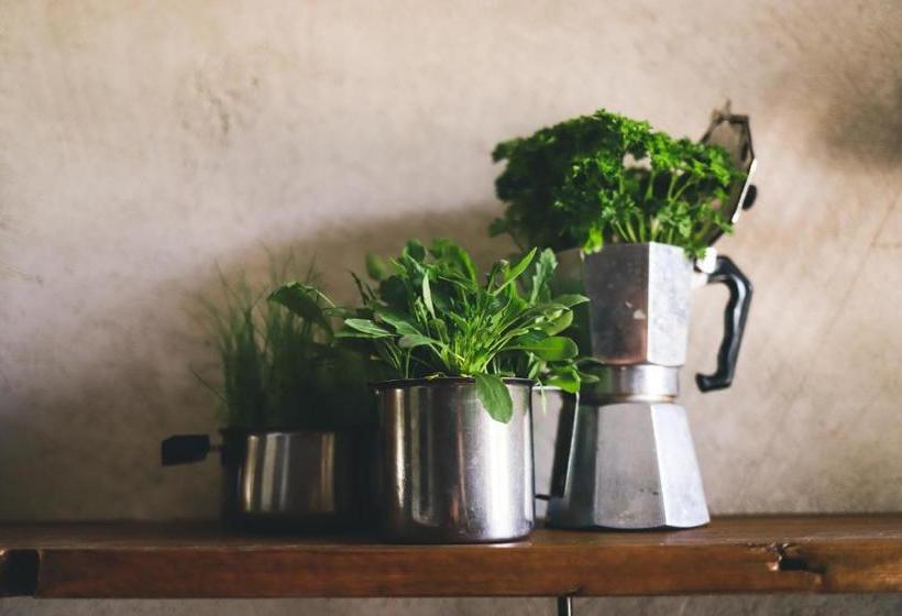 פנסיון Fuoricittà