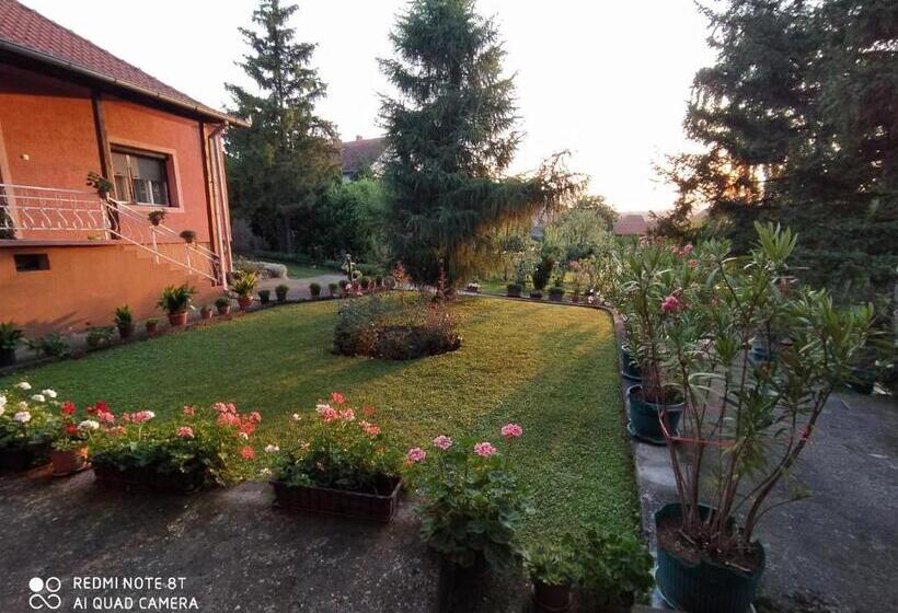 پانسیون Prenoćište Aleksandar