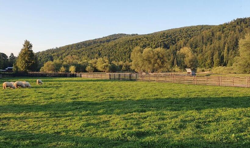 Pensiunea Miorița Putna