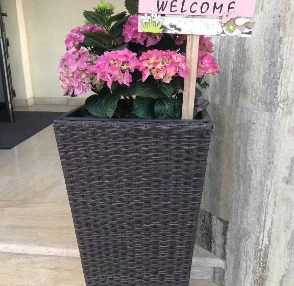 Pensiunea Miorița Putna