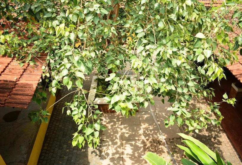 هاستل Design Ashram