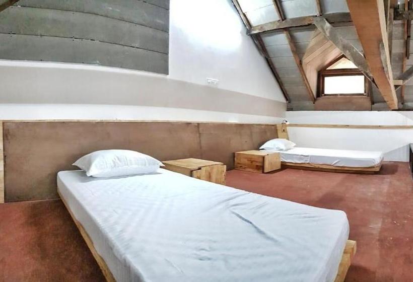 هاستل Design Ashram