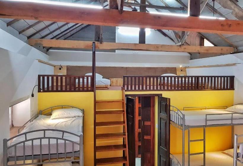 هاستل Design Ashram