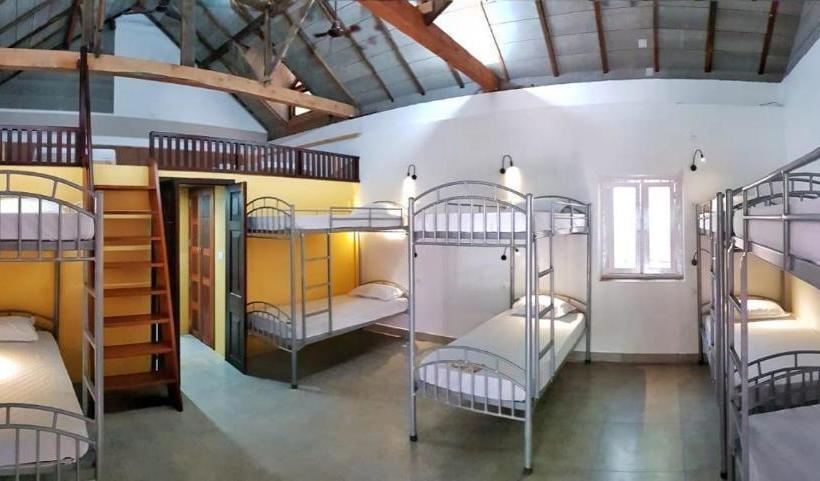 هاستل Design Ashram