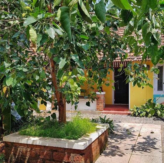 هاستل Design Ashram