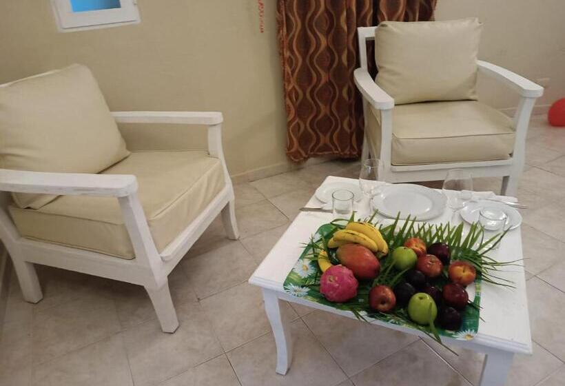 Aparthotel Castillo Real