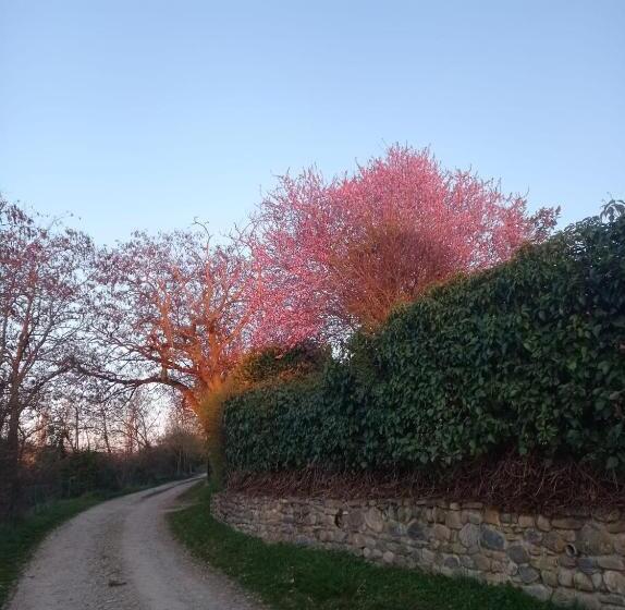 ホテル Alda Jolio Jaca