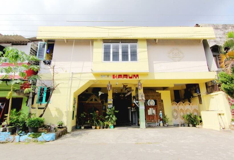 فندق Harum