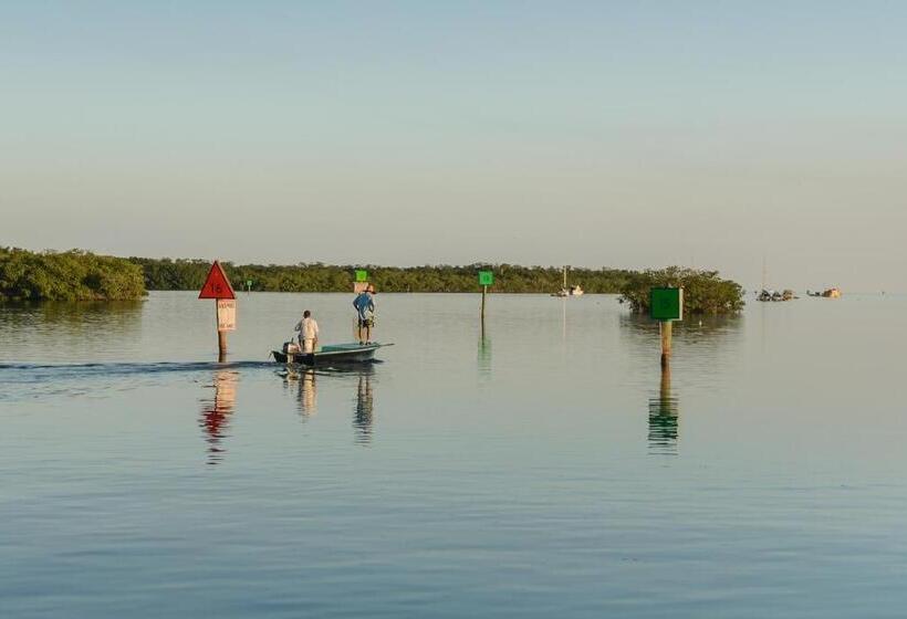 Coconut Mallory Resort And Marina