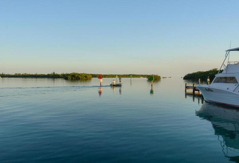 Coconut Mallory Resort And Marina