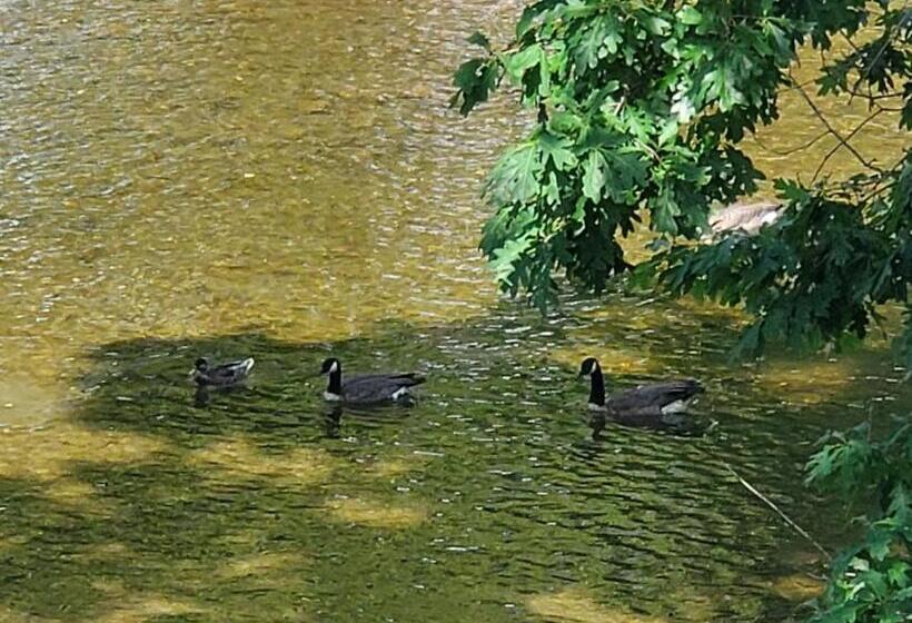 Colonial House Motel