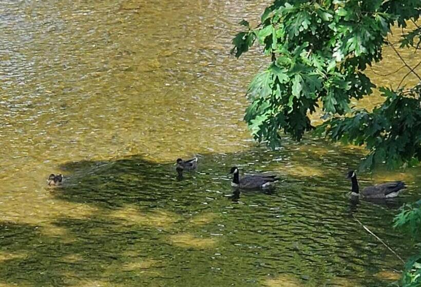 Colonial House Motel