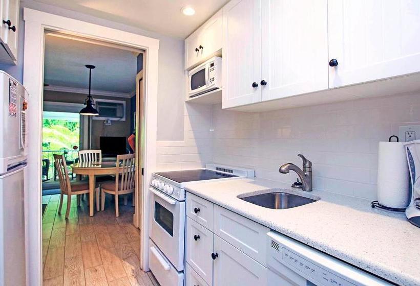 منتجع Colony Inn