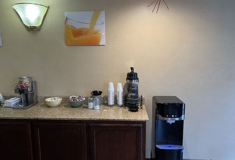 酒店 Americas Best Value Inn Pharr/McAllen