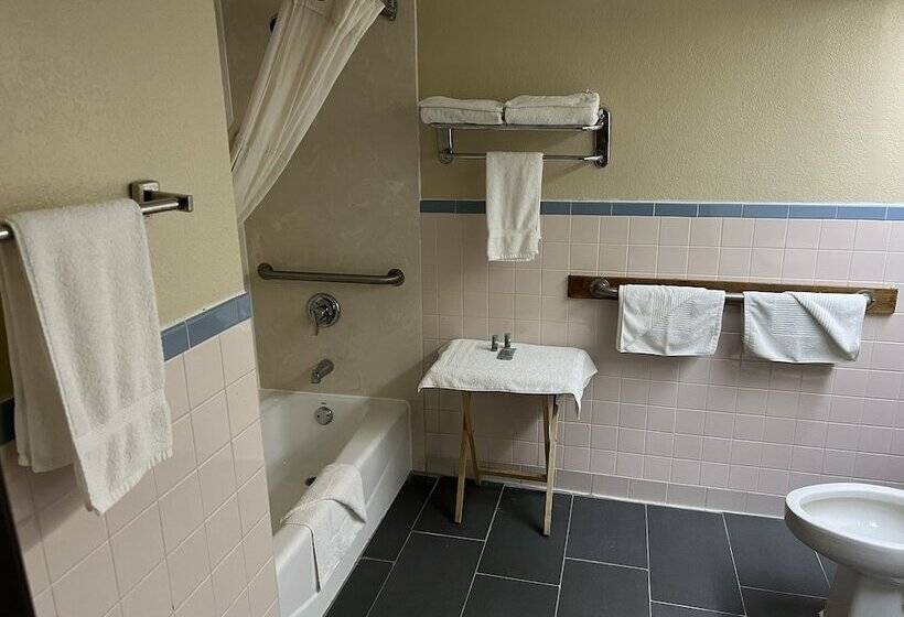 酒店 Americas Best Value Inn Pharr/McAllen