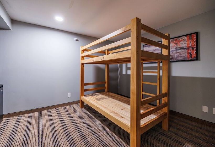 ホテル Americinn By Wyndham Omaha Near Zoo