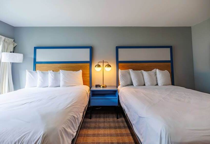 ホテル Americinn By Wyndham Omaha Near Zoo