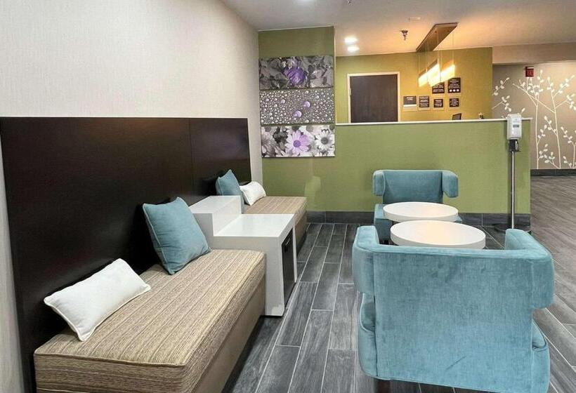 هتل Sleep Inn & Suites Salina I 135