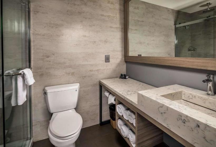 فندق Avenue , Ascend  Collection