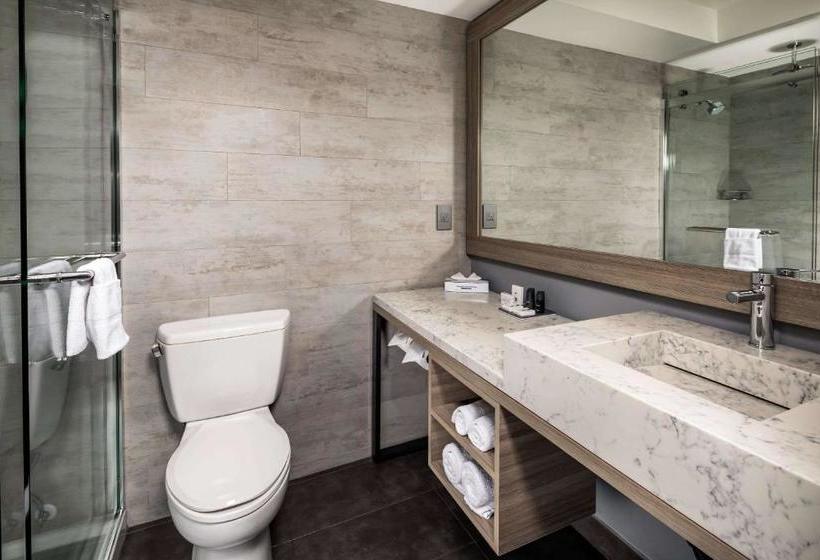 فندق Avenue , Ascend  Collection