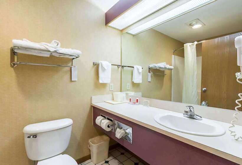 בית מלון כפרי Baymont By Wyndham Omaha Sw