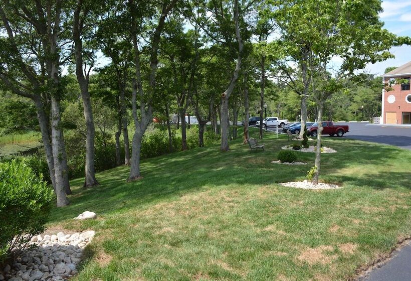 Отель Best Western Cape Cod