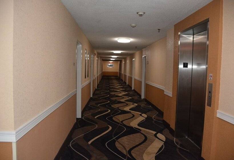 Отель Best Western Cape Cod