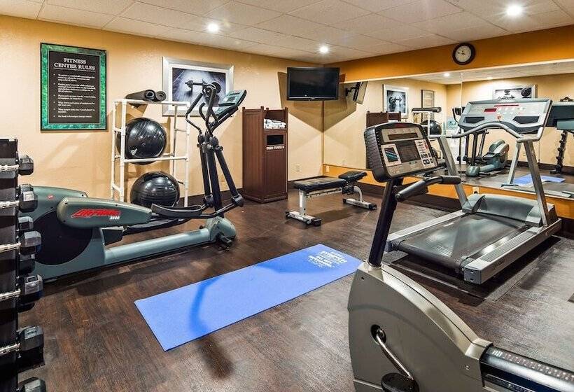 Отель Best Western Cape Cod