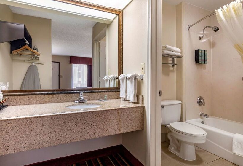 Hotel Best Western Lindale Inn