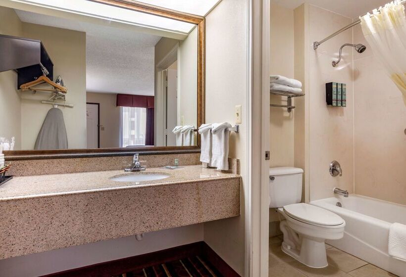 Hotel Best Western Lindale Inn