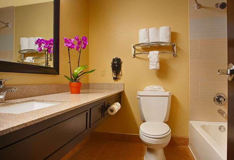 هتل Best Western Plus Addison/dallas