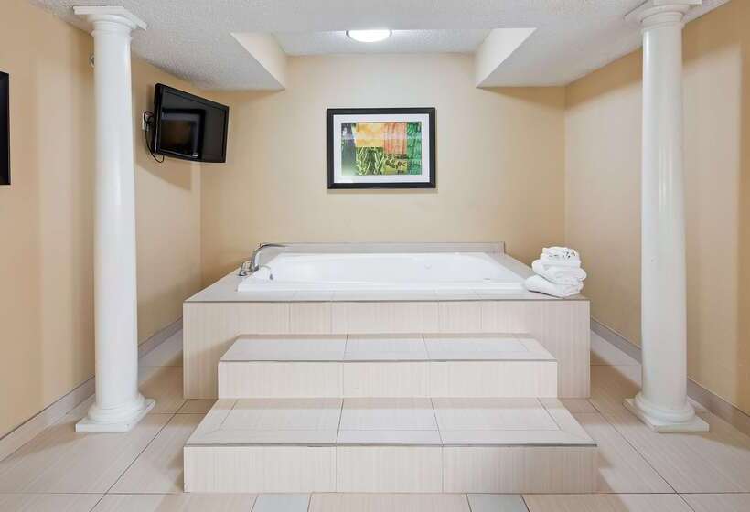 هتل Best Western Plus Addison/dallas