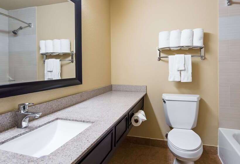 هتل Best Western Plus Addison/dallas