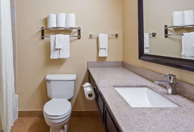 هتل Best Western Plus Addison/dallas