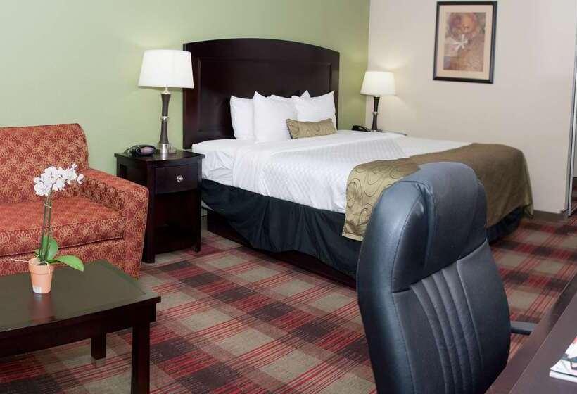 هتل Best Western Plus Addison/dallas