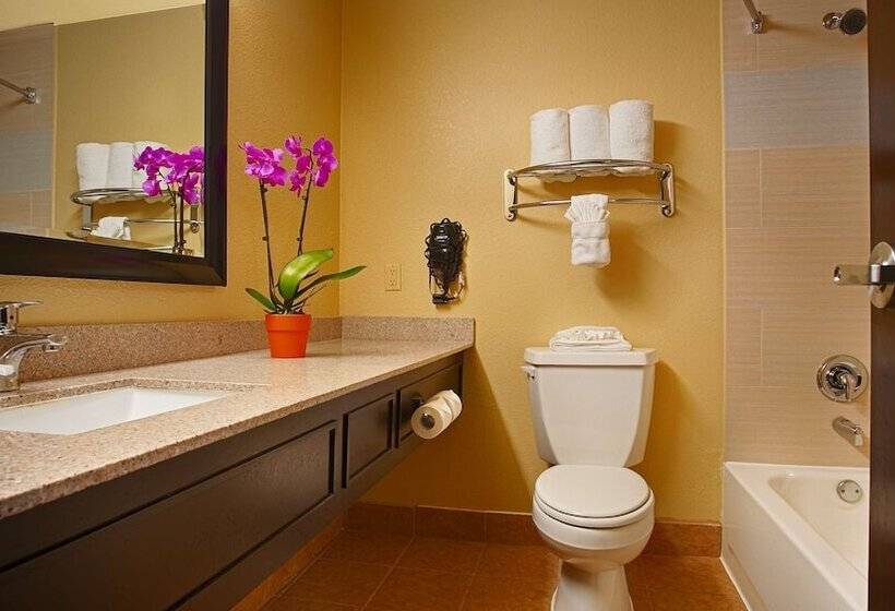 هتل Best Western Plus Addison/dallas