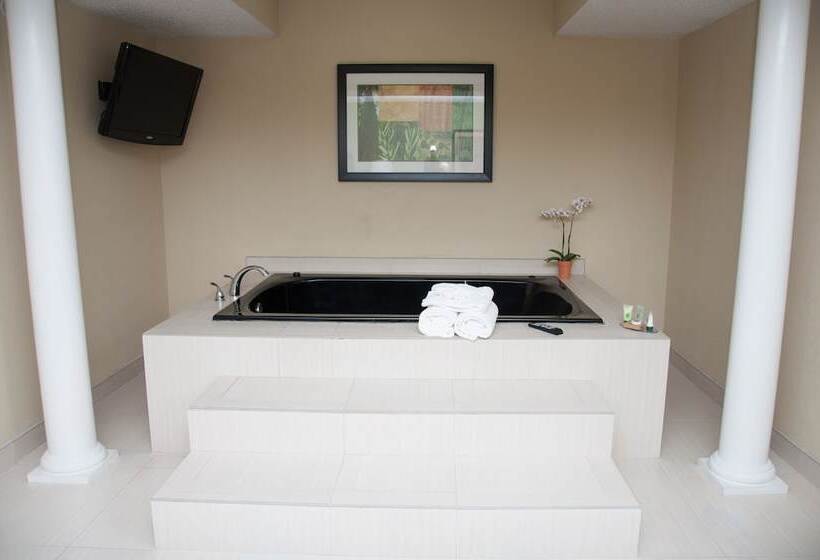 هتل Best Western Plus Addison/dallas