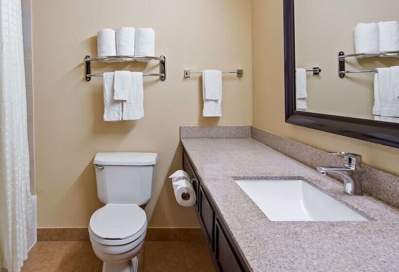 هتل Best Western Plus Addison/dallas