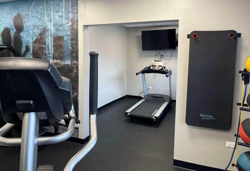 בית מלון כפרי Country Inn & Suites By Radisson, Bolingbrook, I 55