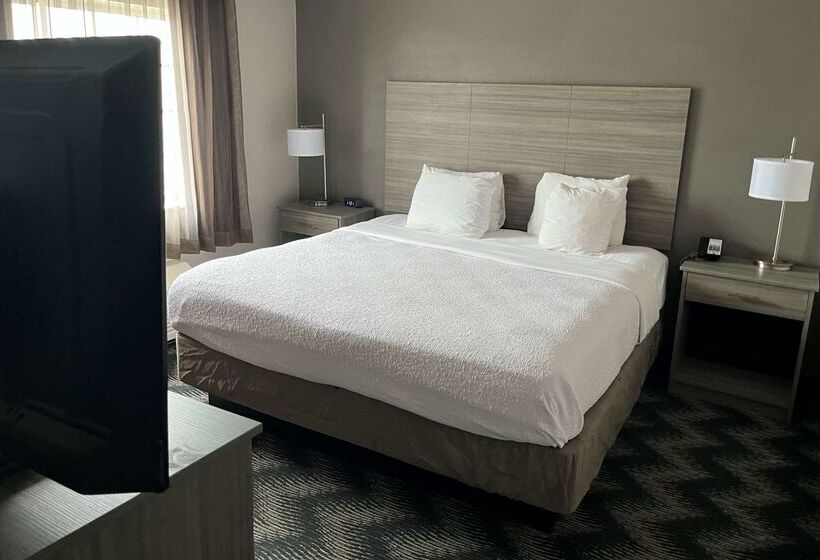 בית מלון כפרי Country Inn & Suites By Radisson, Bolingbrook, I 55