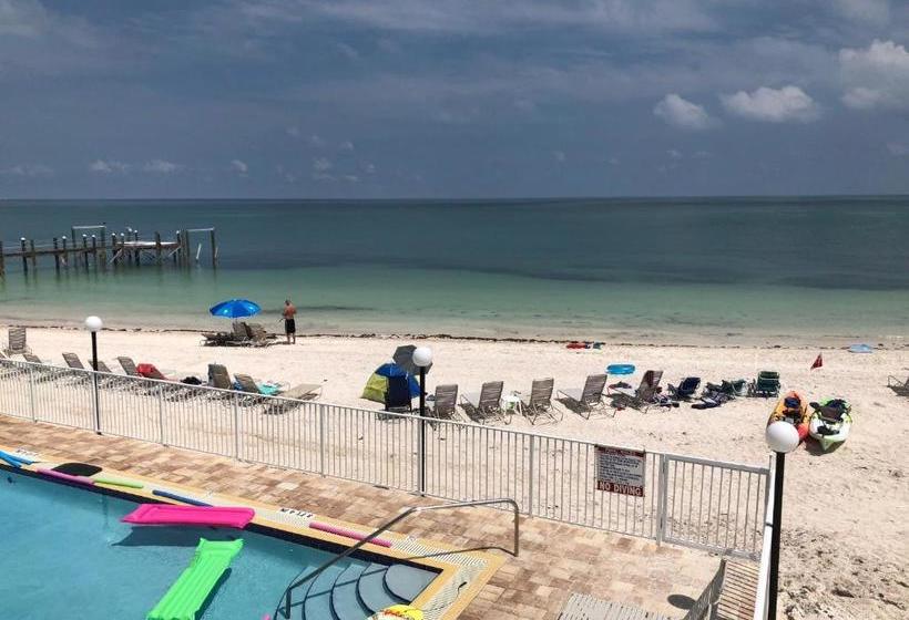 בית מלון כפרי Coco Plum Beach & Tennis Club & Marina