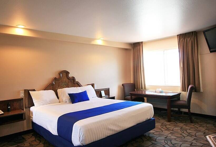 Отель Colony Inn