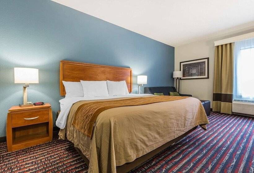 فندق Comfort Inn Alton Near I255