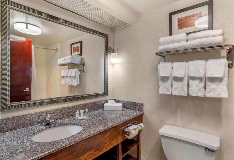 فندق Comfort Inn & Suites